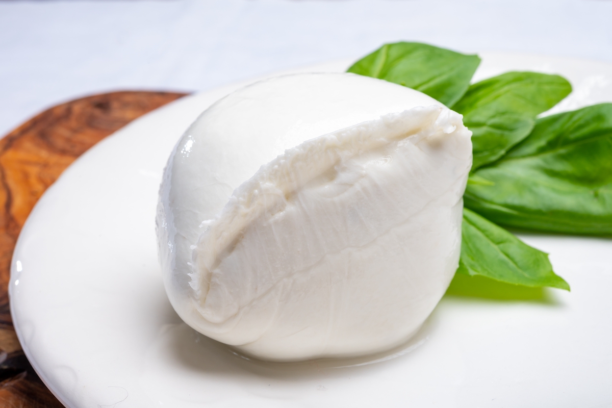 mozzarella di bufala