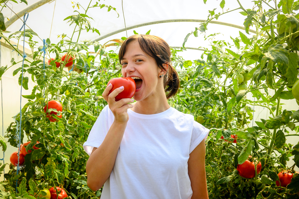 benefici pomodoro